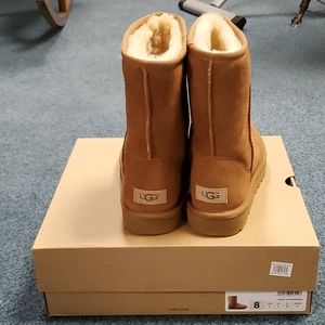 Brand new UGG classic short